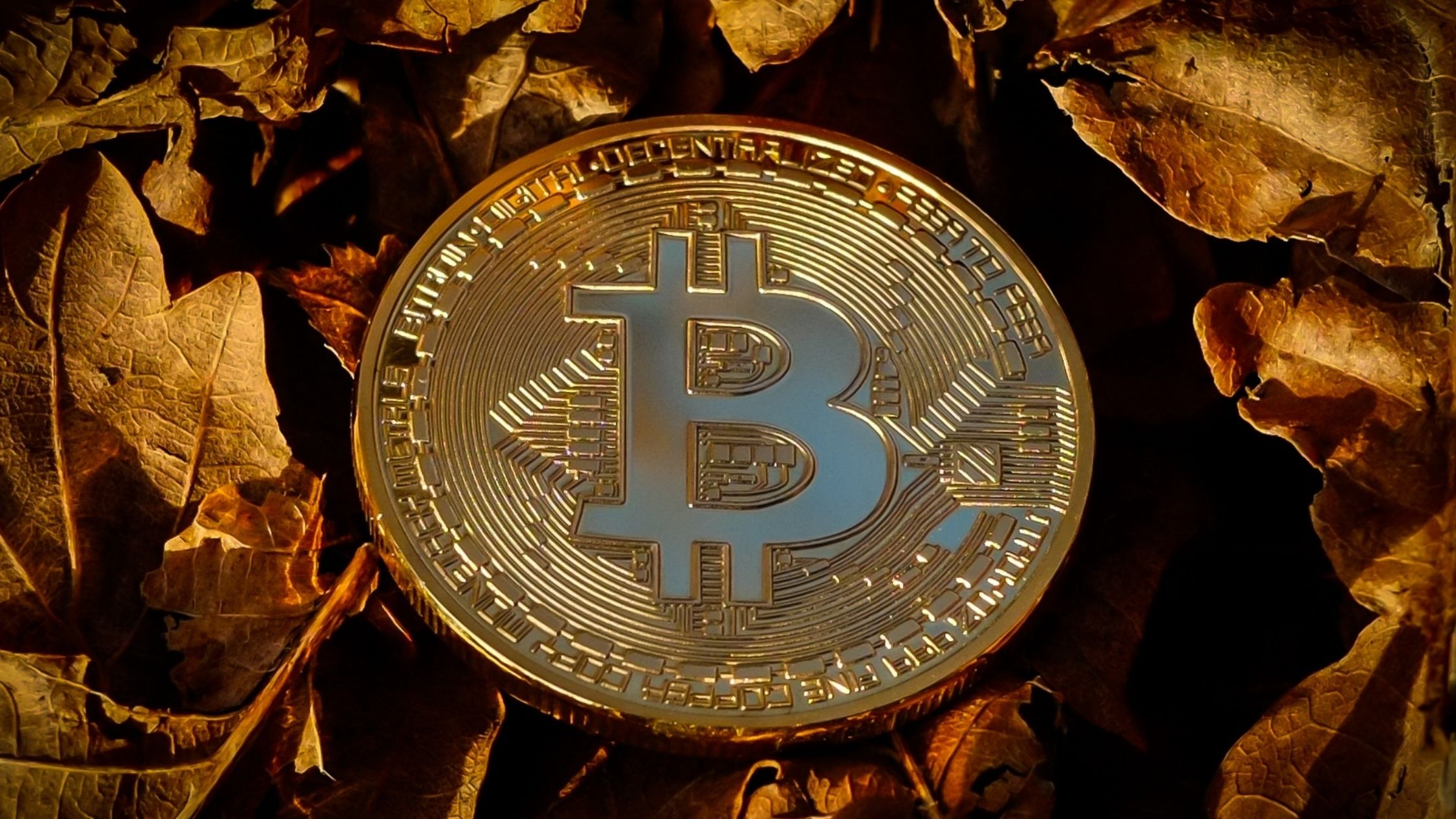 Will Bitcoin hit the $100,000 mark?