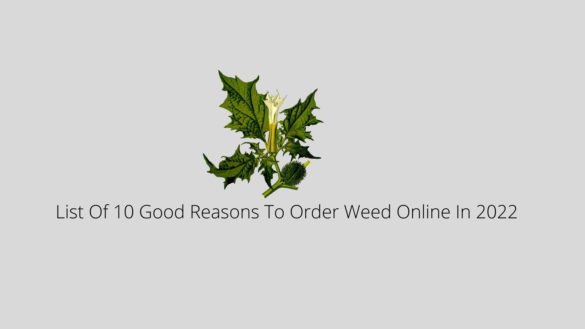List Of 10 Good Reasons To Order Weed Online In 2022